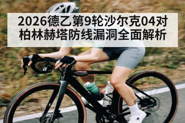 2026德乙第9轮沙尔克04对柏林赫塔防线漏洞全面解析